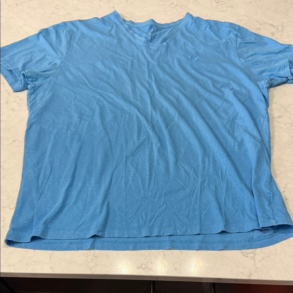 American Eagle Outfitters Light Blue Short Sleeve Tee